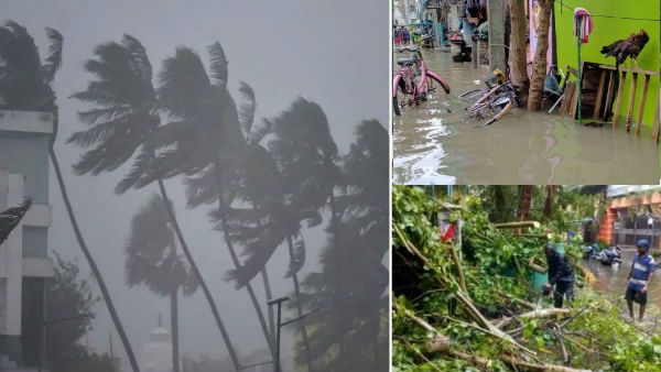 நிவர் புயலால் தமிழகத்தில் ஏற்பட்ட சேதம் என்ன..? முழு விவரத்தை வெளியிட்டது தமிழக அரசு..!