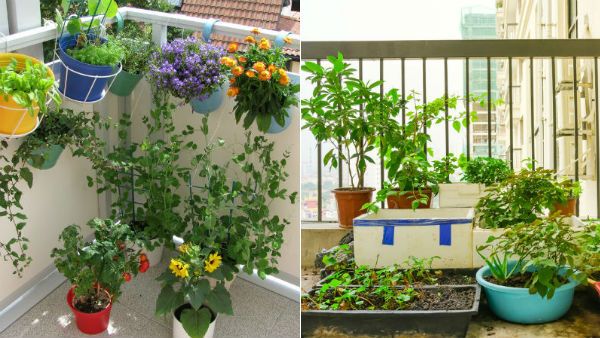 2021 புத்தாண்டு தீர்மானங்கள்.. தோட்டம் போடுங்க.. பூத்துக் குலுங்கட்டும்!