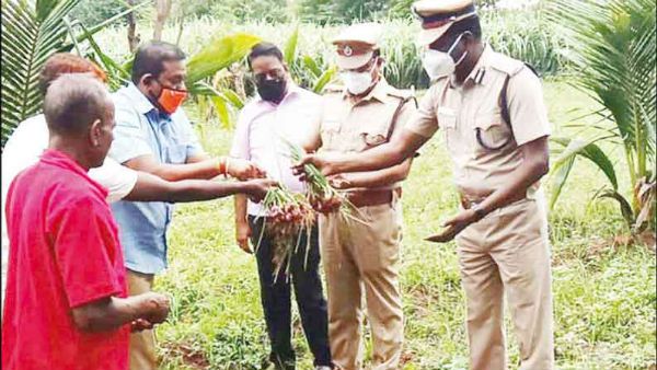 சின்ன வெங்காயம் வாங்க.. திருச்சி ஜெயிலுக்கு வாங்க.. கிலோ எவ்வளவு தெரியுமா?