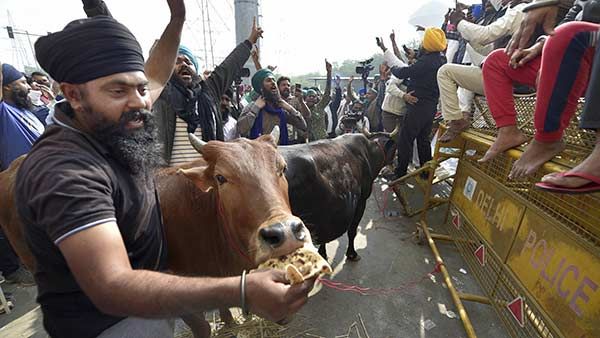 டெல்லியில் ஏழாவது நாளாக நீடிக்கும் விவசாயிகளின் போராட்டம் -கடும் குளிரிலும் அனலடிக்கும் தலைநகரம்