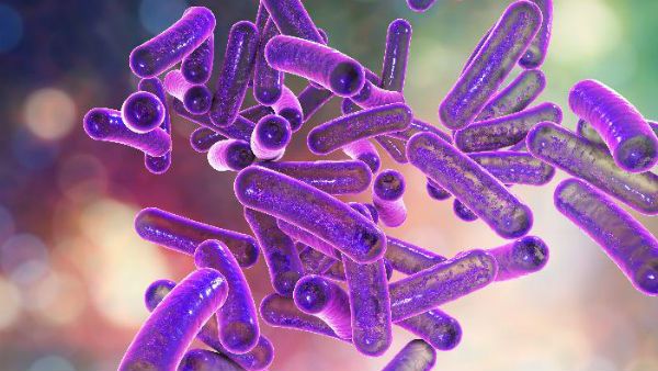 கொரோனாவுக்கு மத்தியில் ஷிகெல்லா வைரஸ்.. கேரளாவின் கோழிக்கோட்டை ஆட்டி படைக்கும் பரிதாபம்!