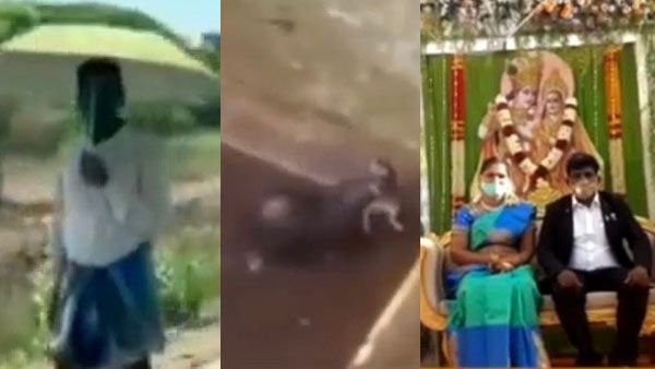 கொரோனாவை தடுக்க குடை, எலியின் பாசம், நடமாடும் திருமண மகால்... 2020-ல் திருப்பூர் டாப் நிகழ்வுகள்!