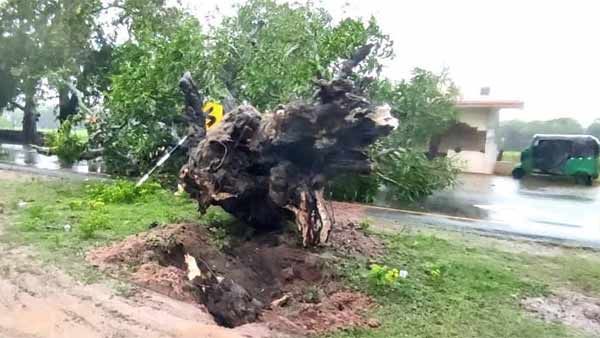 காஞ்சிபுரத்தில் மின்சாரம் பாய்ந்து மின் ஊழியர் உள்பட இருவர் பலி