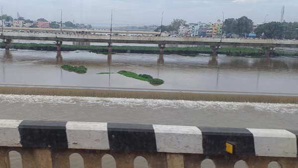 தேரோடும் மதுரையிலே.. வைகையிலே பெரு வெள்ளம்.. செம செம.. மக்களே எச்சரிக்கை.. கவனமா இருங்க!