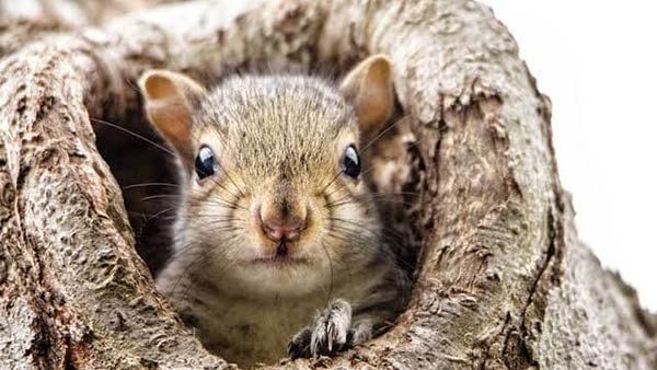 சில்லுன்னு ஒரு அனுபவம்.. அத்தியாயம் 9... 