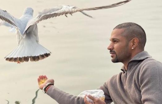 பறவை காய்ச்சல் பீதிக்கு மத்தியில்... பறவைகளுக்கு உணவளித்து சர்ச்சையில் சிக்கிய தவான்.!