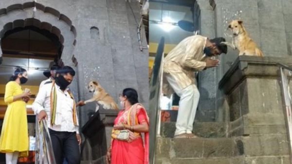 கோயிலுக்கு வெளியே.. தலைக்குமேல் கால் வைத்து.. பக்தர்களுக்கு ஆசி வழங்கும் ஆச்சர்ய நாய்