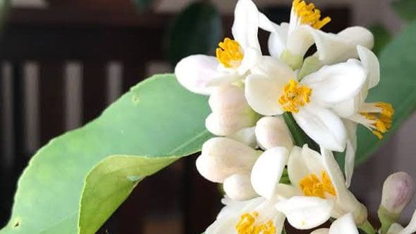 சில்லுன்னு ஒரு அனுபவம்.. அத்தியாயம் 11... 