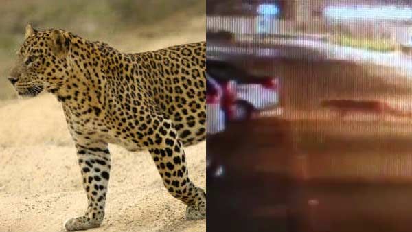 பெங்களூர் நகருக்குள் சிறுத்தை.. சிசிடிவியில் பதிவான பரபர காட்சி! மக்கள் ஜாக்கிரதையாக இருக்க வார்னிங்