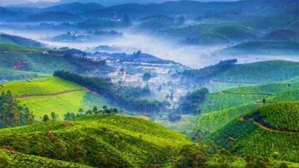 புது வெள்ளை மழை இங்கு.. செம கூலாய்ருச்சு மூணாறு.. எங்கு பார்த்தாலும் உறை பனி!