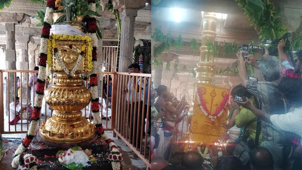 பழனியில் தைப்பூச திருவிழா நாளை கொடியேற்றம் - 27ல் திருக்கல்யாணம், 28ல் தேரோட்டம்