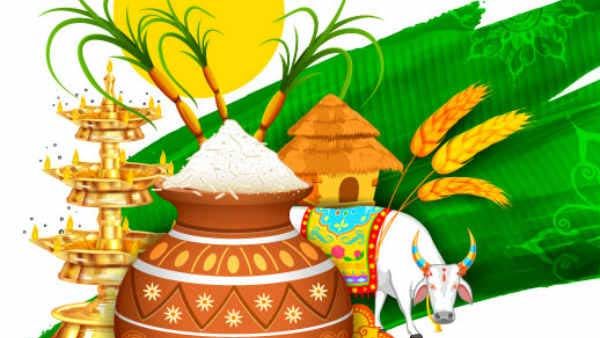 தை பொங்கல் 2021: அறுவடை திருநாளில் சூரியன், இந்திரன், உபேந்திரனுக்கு நன்றி சொல்வோம்