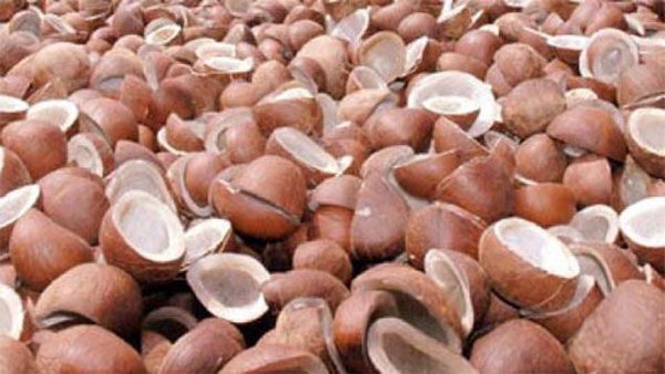 கொப்பரைத் தேங்காய்க்கான குறைந்த பட்ச ஆதரவு விலை உயர்வுக்கு மத்திய அமைச்சரவை ஒப்புதல்