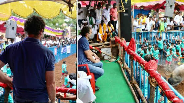 ஜல்லிக்கட்டை ஆர்வமுடன் கண்டு ரசித்த ராகுல்காந்தி... மெய்க்காப்பாளரை தள்ளி நிற்குமாறு அறிவுறுத்தல்..!