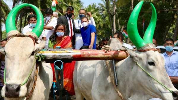 ஜோதிமணி எம்.பி. மாட்டுவண்டி ஓட்ட.. நின்று கொண்டே ராகுல் பயணிக்க.. அடடே.. 'கலகல' கரூர்