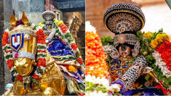 ஸ்ரீரங்கத்தில் பொங்கல் பண்டிகை: தங்கக்குதிரை வாகனத்தில் எழுந்தருளி பாரிவேட்டை கண்டருளிய நம்பெருமாள்