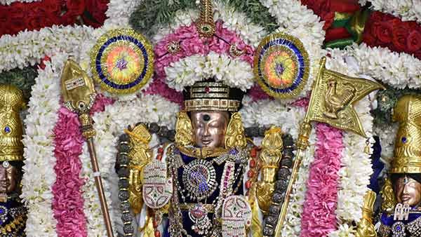 தைப்பூசம் 2021: பழனியில் இன்று திருக்கல்யாணம் - முருகனின் அறுபடை வீடுகளிலும் கோலாகலம்