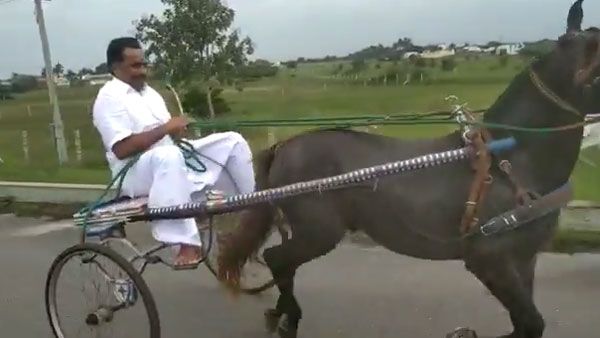 அட நீங்களே பாருங்களேன்...கைதேர்ந்த குதிரை வண்டிக்காரர்போல்...குதிரை வண்டி ஒட்டி அசத்திய அமைச்சர்!