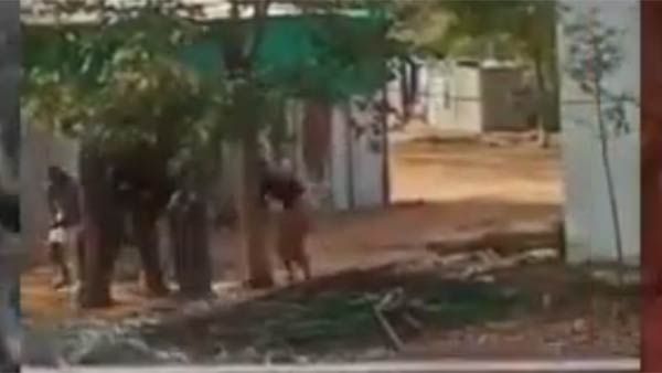 கோவை அருகே.. யானையை கட்டி வைத்து.. ஈவு இரக்கமில்லாமல் கொடூர தாக்குதல்.. பதைக்க வைத்த பாகன்கள் கைது