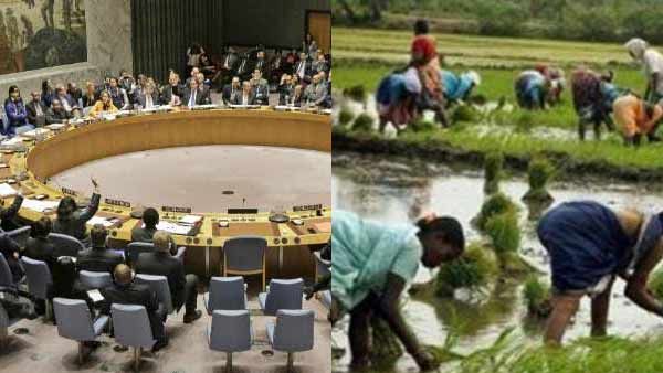 வேளாண் சட்டம் மூலம் 2024-க்குள் விவசாயிகள் வருமானம் இரட்டிப்பாகும்...ஐ.நா.வில் விளக்கமளித்த இந்தியா!