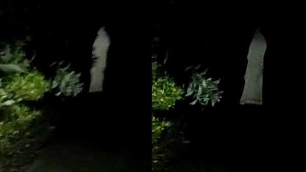 மரக்காணத்தில் திகில்.. வெள்ளை நிறத்தில் சாலையில் ஹாயாக வாக்கிங் செல்லும் ஒரு உருவம்.. வைரல் வீடியோ