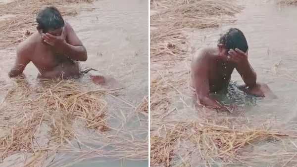 கடலூரில் பெருவெள்ளம் : தண்ணீரில் மூழ்கிய நெற்பயிர்கள் - வயலில் கண்ணீர் விட்டு கதறி அழுத விவசாயி