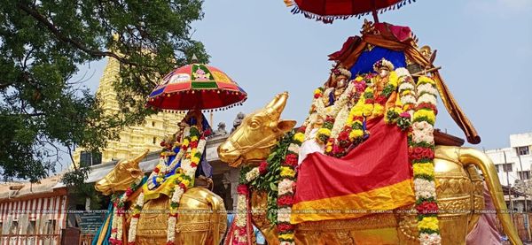 தை அமாவாசை: ராமேஸ்வரம் கோவிலில் தீர்த்தவாரி... நாளை பகல் முழுவதும் கோவில் திறந்திருக்கும் 