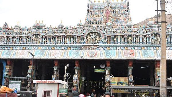 திருப்பரங்குன்றம் முருகன் கோவிலில் பங்குனி உத்திரத்திருவிழா கொடியேற்றம் - 31ல் திருக்கல்யாணம் 