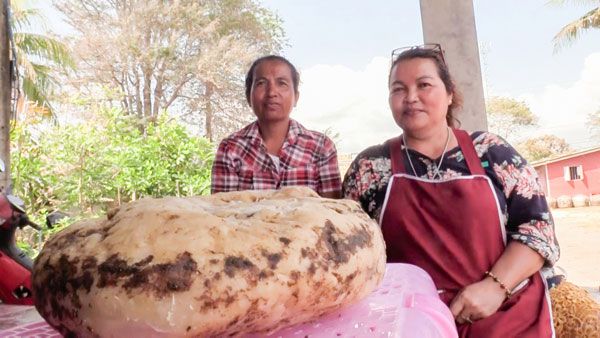 கடற்கரையில் ஹாயாக வாக்கிங்... பெண் கண்டுபிடித்த 'அந்த' விஷயம்... ஓவர் நைட்டில் கோடீஸ்வரிதான்