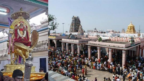 பழனி பங்குனி உத்திர திருவிழா கோலாகலமாக கொடியேற்றத்துடன் தொடங்கியது - 28ல் தேரோட்டம் 