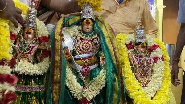 பார் புகழும் பழனியில் முத்துக்குமாரசாமி திருக்கல்யாணம் இன்று பங்குனித்தேரோட்டம் -பக்தர்கள் கோலாகலம் 