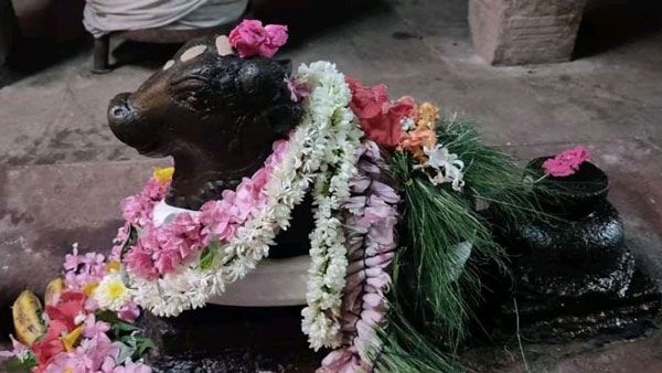 சுக்கிரவார பிரதோஷ நாளில் சிவ தரிசனம் செய்தால் கடன் பிரச்சினை தீரும் செல்வ வளம் பெருகும்