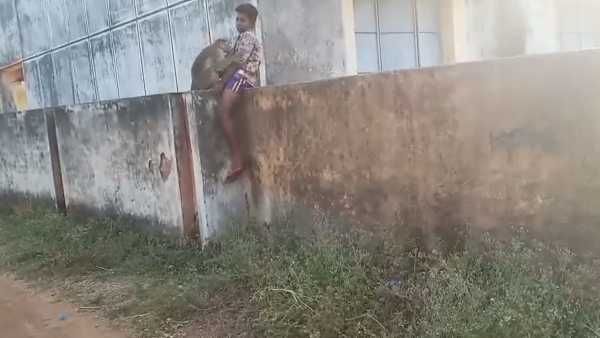 ரொமான்டிக் குரங்கிடம் மாட்டிய சிறுவன்... சிலையாக மாறியும் விடாமல் ஒரே இச்சு... வைரல் வீடியோ!