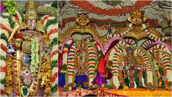  மாணிக்க மூக்குத்தி மதுரை மீனாட்சி... உச்சி முதல் உள்ளங்கால் வரை ஜொலிக்கும் அம்மன்