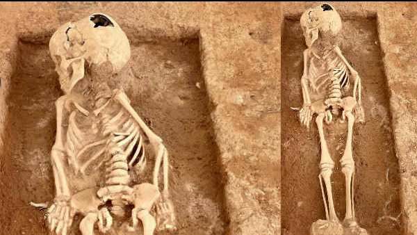 கீழடி: கொந்தகையில் முதுமக்கள் தாழியில் மனித எலும்புக்கூடு - ஆணா, பெண்ணா என ஆய்வு