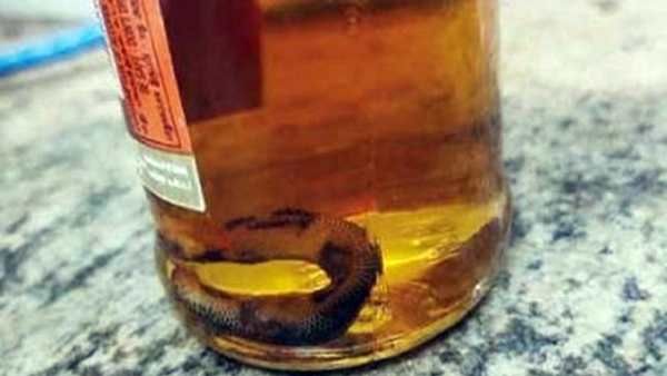 குவாட்டரில் பாம்பு.. முதல் ரவுண்டில் ஒன்றும் தெரியல.. 2வது ரவுண்டில்.. அலறிய விவசாயி!