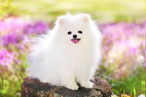 சில்லுன்னு ஒரு அனுபவம்.. அத்தியாயம் 25... 