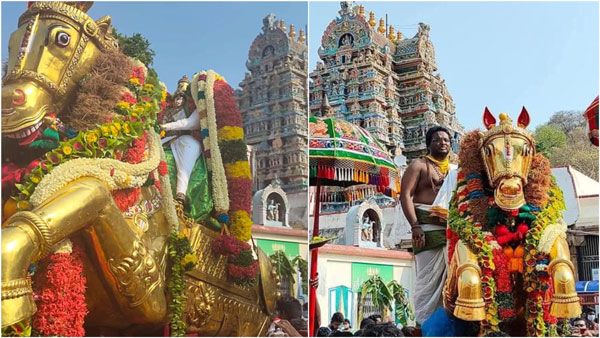  மதுரை சித்திரை திருவிழா: கருட வாகனத்தில் எழுந்தருளிய கள்ளழகர்...மண்டூக மகரிஷிக்கு சாப விமோசனம் 