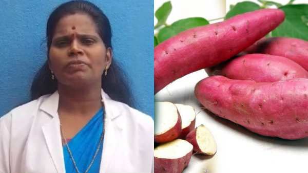 சர்க்கரை வள்ளிக்கிழங்கு சாப்பிட்டால் சர்க்கரை நோய் வருமா.. டாக்டர் தீபா சொல்வது என்ன?