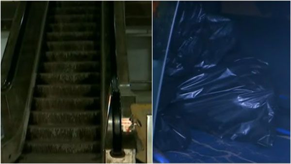 அடையாறு பறக்கும் ரயில் நிலையம்.. கொஞ்சம் உற்று பார்த்தால்.. மனித எலும்பு கூடு.. பதறிப்போன பயணிகள்