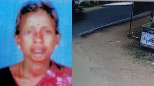 கண்ணீர் அஞ்சலி பிளக்ஸ் பேனர் விழுந்து.. சாலையில் சென்ற பெண் பரிதாப மரணம், தஞ்சை சோகம்