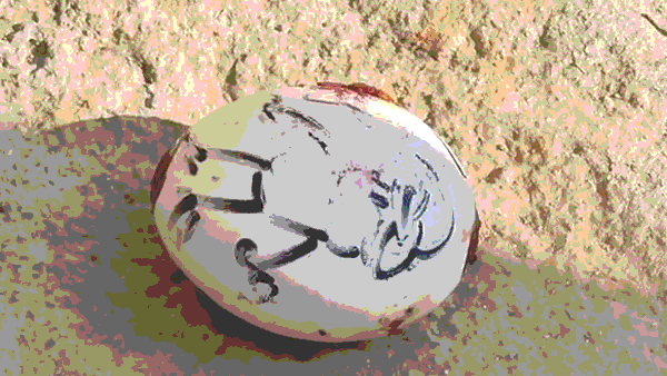 அமானுஷ்ய ஓவியம், மஞ்சள், குங்கும பொட்டுடன் வீடுகள் முன் வீசப்படும் முட்டை.. திருத்தணியில் ஷாக்!