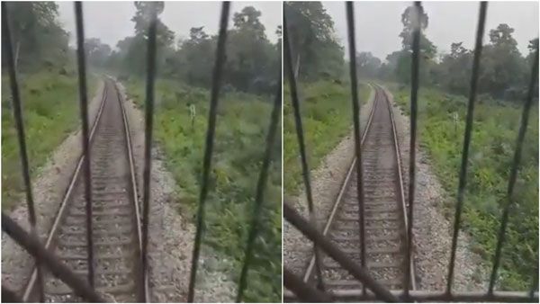குட்டியுடன் தண்டவாளத்தை கடக்க வந்த யானை.. ப்ரேக் பிடித்து ரயிலை நிறுத்திய டிரைவர்கள்... வைரல் வீடியோ