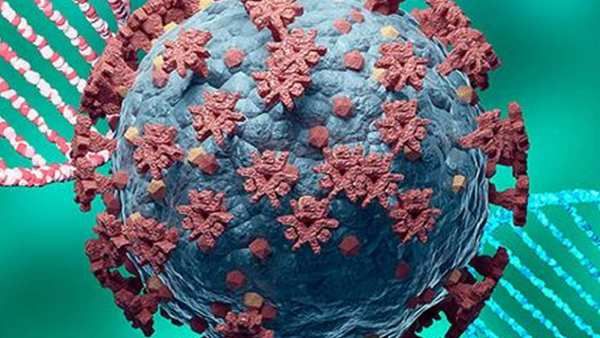 தமிழகத்தில் அதிகரிக்கும் கரும்பூஞ்சை கேஸ்கள்.. அறிவிக்கப்பட வேண்டிய நோய் என்றால் என்ன?- முழு பின்னணி