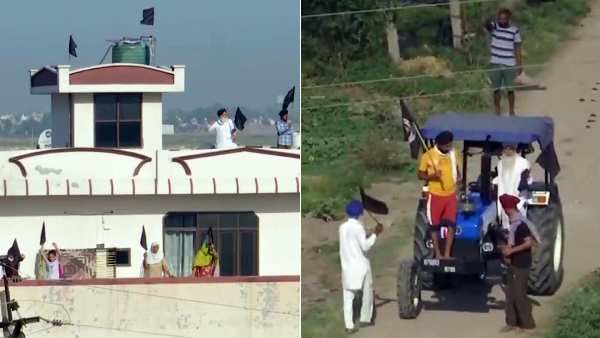 மோடி பதவியேற்று 7 ஆண்டுகள் நிறைவு- விவசாயிகள் அழைப்பை ஏற்று நாடு முழுவதும் கறுப்பு தினம் கடைபிடிப்பு