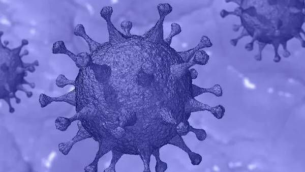 தென்னாப்பிரிக்காவில் கொரோனா தடுப்பூசிகள் நோயை கட்டுப்படுத்த உதவவில்லை: டாக்டர் ஷங்கர் ஷெட்டி