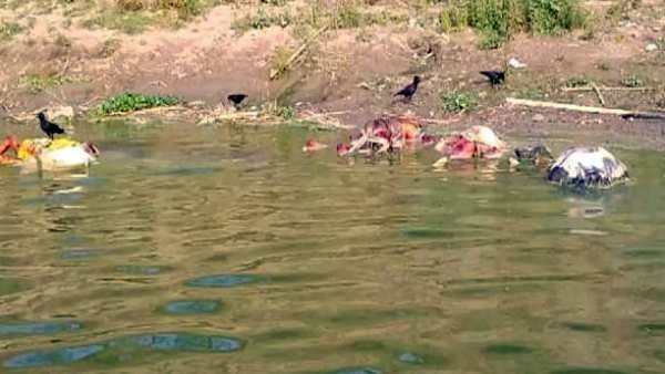 கங்கையை அடுத்து யமுனையிலும் மிதக்கும் கொரோனா நோயாளிகளின் சடலங்கள்... கிராம மக்கள் அச்சம்