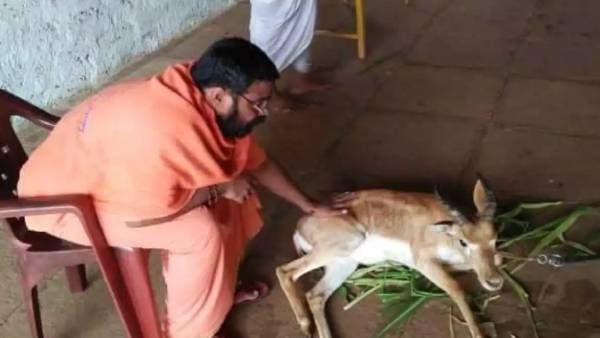 சாமியார் மடத்தில் கட்டி போட்டு வளர்க்கப்படும் மான்.. கர்நாடகாவில் பரபரப்பு