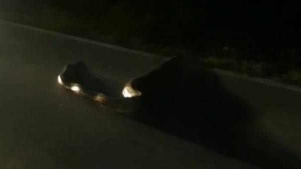 திம்பம் கொண்டை ஊசி வளைவில் கஷ்டப்பட்டு ஏறிய வாகனங்கள்.. குறுக்கே 10 அடி நீள மலைப்பாம்பு- திக் வீடியோ