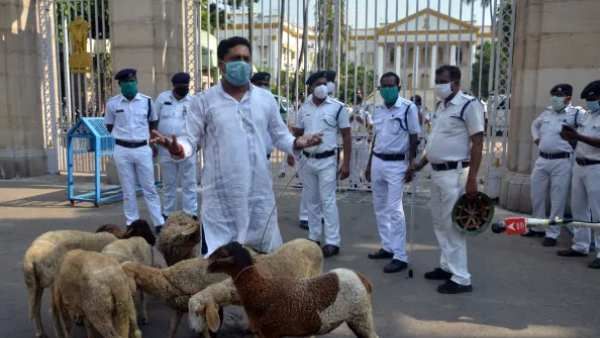 மேற்கு வங்கத்தில்.. ராஜ்பவன் முன்பு ஆடுகளுடன் போராட்டம்.. போலீசுக்கு எதிராக ஆளுநர் ஆவேசம்!